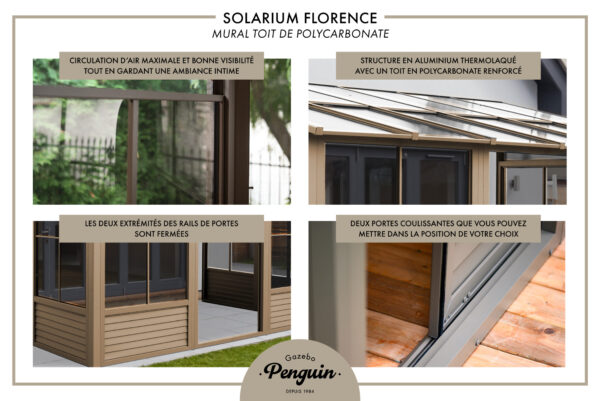 Solarium Florence Mural 8x16 Beige Avec Toît en Polycarbonate – Image 3