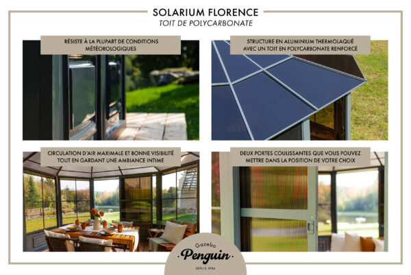 Solarium Florence Auto-Portant 12x12 Gris Avec Toît en Polycarbonate – Image 12
