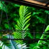 Gazebo 5x8 for BBQ - Image 7